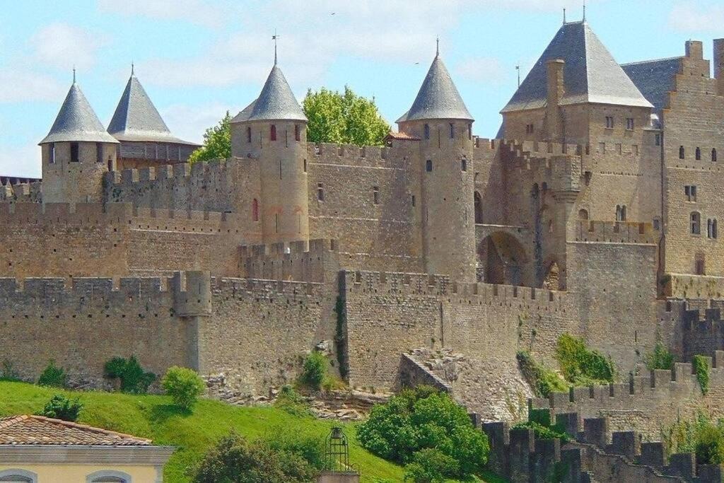 Spacieux Appartement Au Pied De La Cite Medievale Καρκασόν Εξωτερικό φωτογραφία