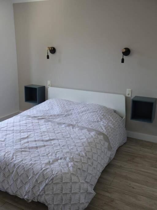 Spacieux Appartement Au Pied De La Cite Medievale Καρκασόν Εξωτερικό φωτογραφία