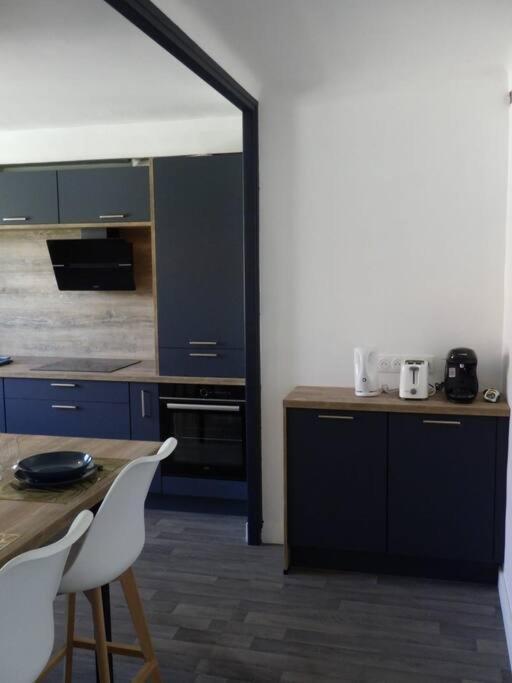 Spacieux Appartement Au Pied De La Cite Medievale Καρκασόν Εξωτερικό φωτογραφία